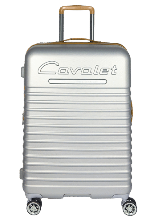 Large suitcase silver (Pasadena)