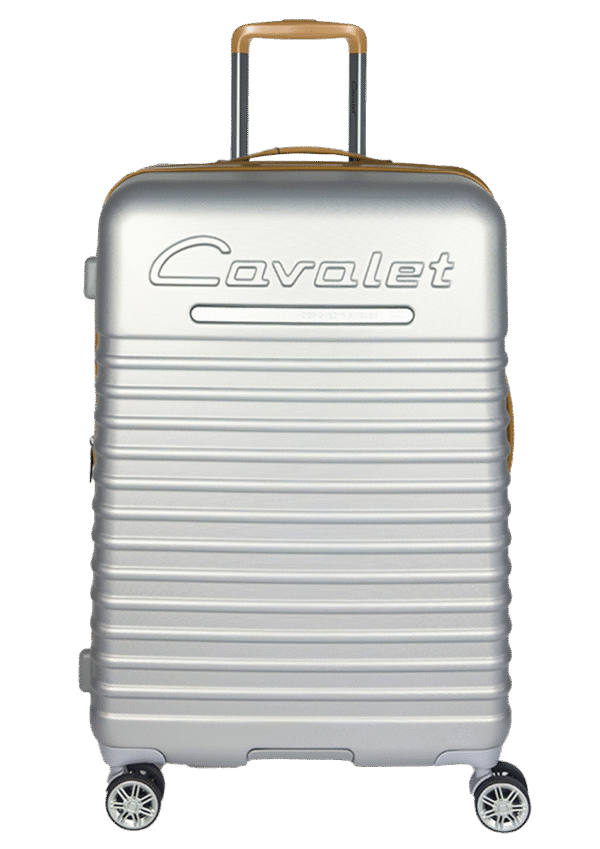 Cavalet Pasadena Srebrna L 1 Duża walizka srebrna (Pasadena)