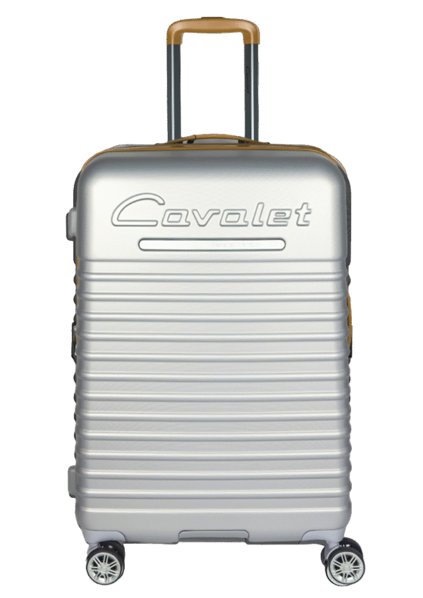 Cavalet Pasadena Srebrna M 1 Średnia walizka srebrna (Pasadena)