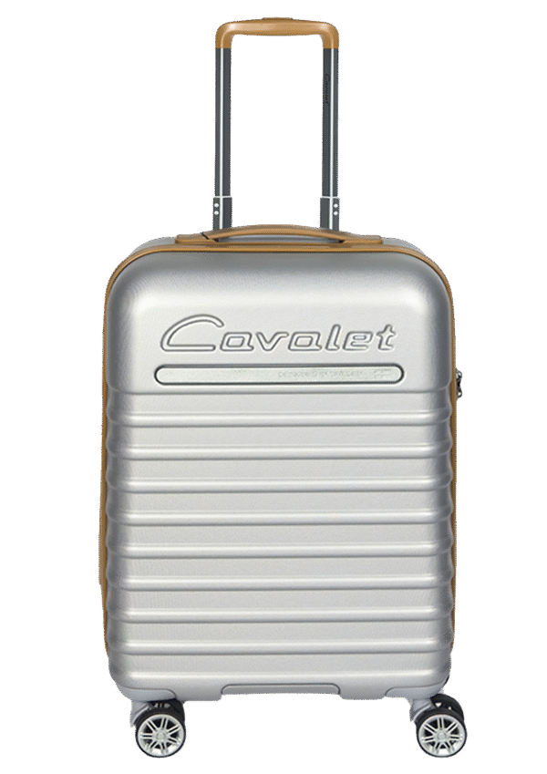 Cavalet Pasadena Srebrna S 1 Mała walizka srebrna (Pasadena)