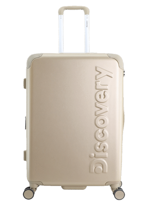 Medium gold suitcase (Focus)