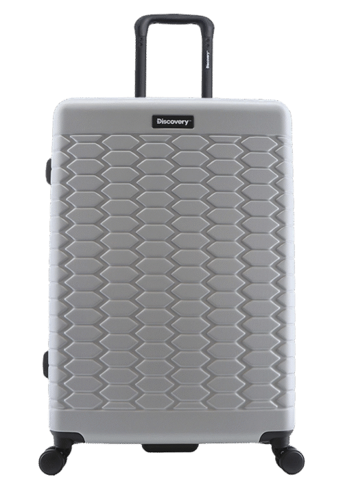 Large silver suitcase (Reptile)