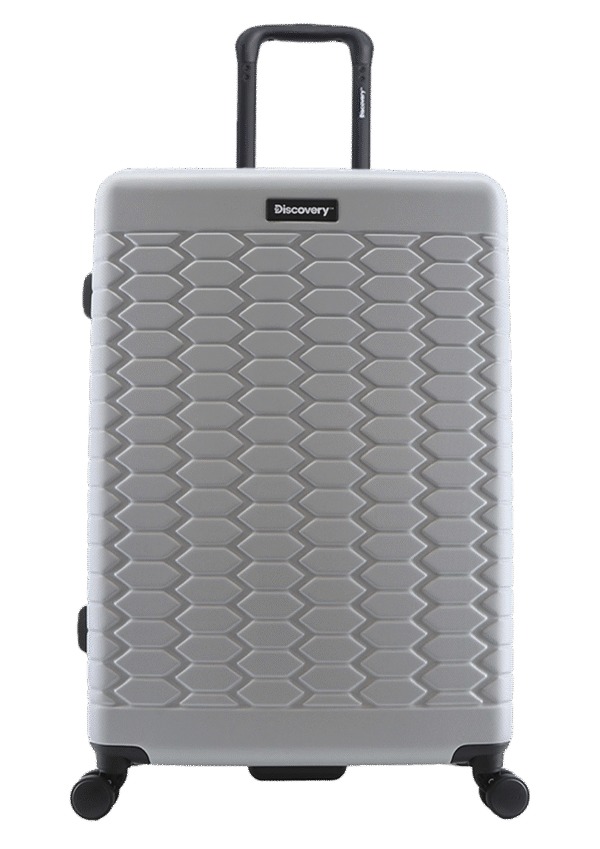 Large silver suitcase (Reptile)