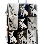 Saxoline Bulldog Mono L 1 (1191HA.71.06) Duża walizka Saxoline Bulldog Mono 95L